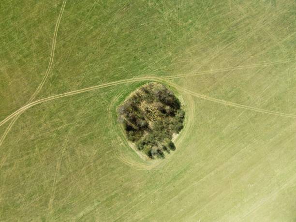 istock A green island on a beveled field. Shot from drone top view 1222234524