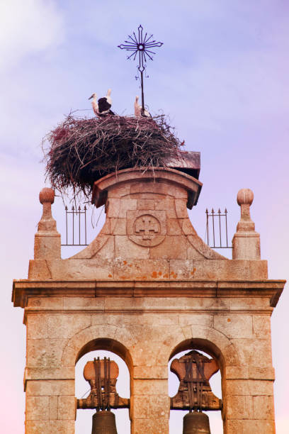 istock Church, belfry, storks nest and sunset sky 1222234891
