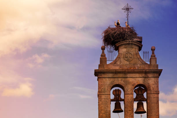 Church, belfry, storks nest and sunset sky, copy space on the left. Ribeira Sacra, Galicia, Spain.