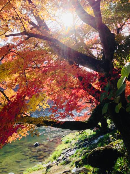 istock Beauty of nature 1222235428