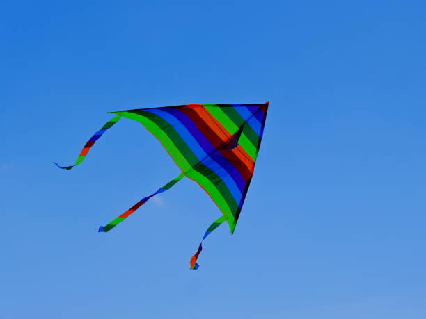 istock Children's toy. Children fly a flying kite. 1222238560