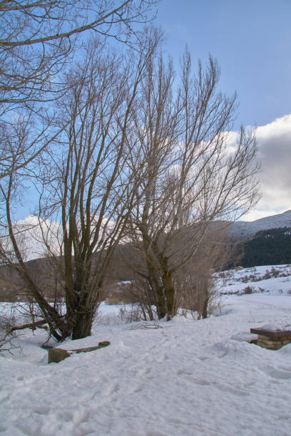 istock Snowy and cold mountain forest landscape 1222238884