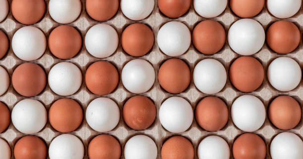 top view chicken raw eggs mixed of yellow and white color lying in carton recyclable cardboard box, natural pattern and concept of spring and easter, close-up - eggs animal egg stack stacking imagens e fotografias de stock