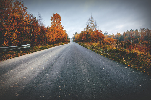 Asphalt road passing through the autumn forest