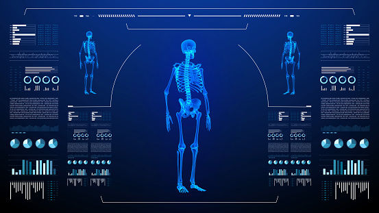 Medical UHD abstract. Laboratory dashboard interface. Human body skeleton study on diagnostic computer display.