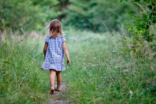 Rear view of a 3 year old child girl with unshod feet in  summer dress is walking on a narrow path in a high meadow in nature. Seen in Germany in August.
