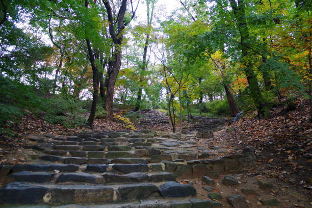 istock UNESCO World Heritage Site Changdeokgung palace 1222246085