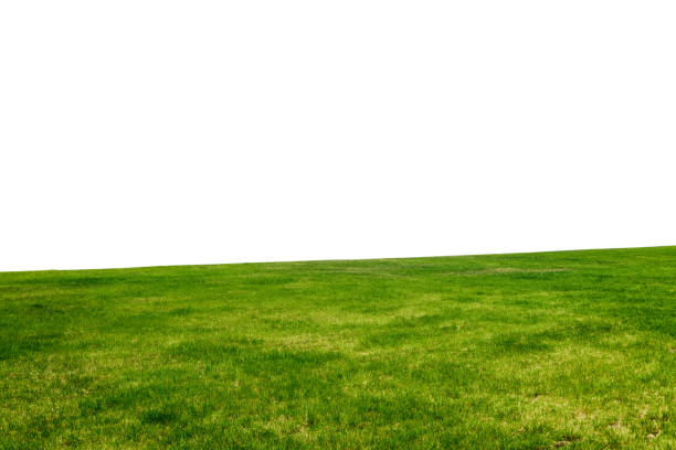 istock Green grass field on mountain isolated on white background. 1222247302