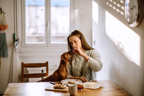 istock Having Breakfast With Her Dachshund Dog 1222249112