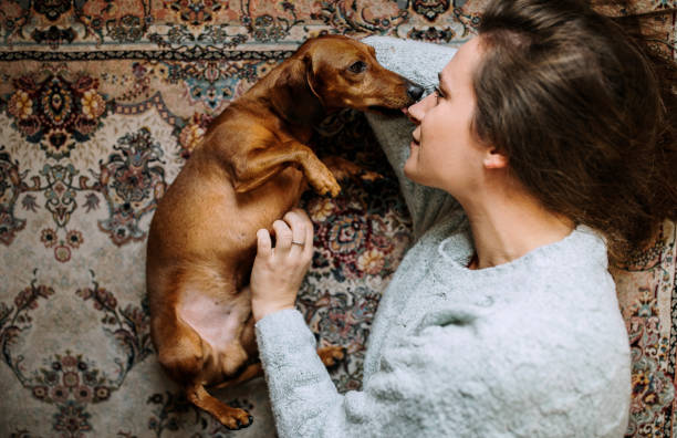 istock Comfortable Afternoon Nap Full Of Love 1222249721