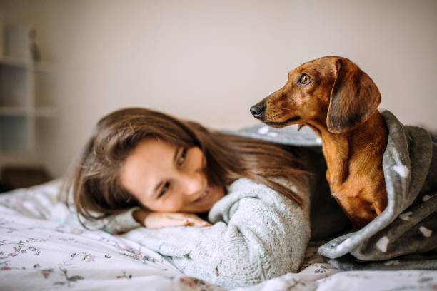 istock Comfortable Afternoon Nap Full Of Love 1222251284