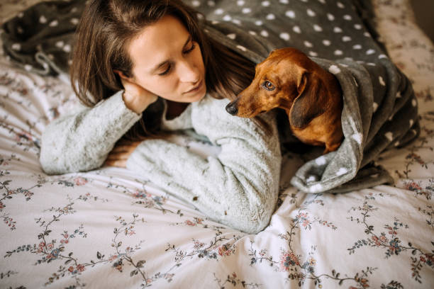 istock Comfortable Afternoon Nap Full Of Love 1222251384