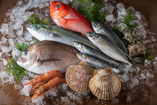 japanese fresh fishes and crustacean on ice