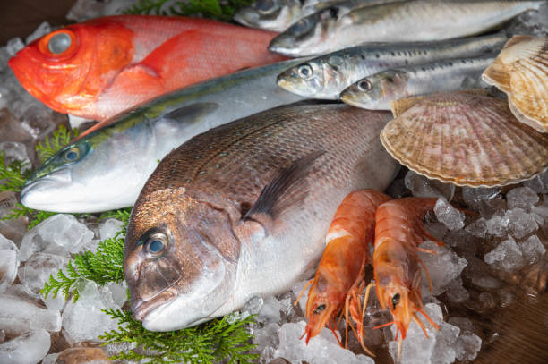 pesci freschi giapponesi e crostacei sul ghiaccio - fish catch of fish seafood red snapper foto e immagini stock