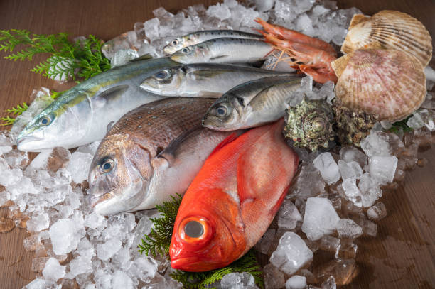 pesci freschi giapponesi e crostacei sul ghiaccio - fish catch of fish seafood red snapper foto e immagini stock