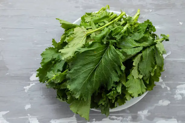 Photo of turnip greens on white dish on ceramic background