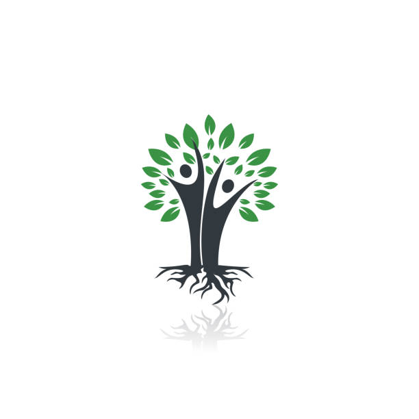 projekt logo drzewa genealogicznego i korzeni. - tree root family tree family stock illustrations