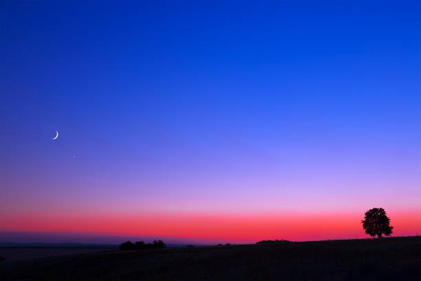 A famous sanset. A lonely tree. The sky with the moon and the starlight. A beautiful gradient of colors from red to blue.
