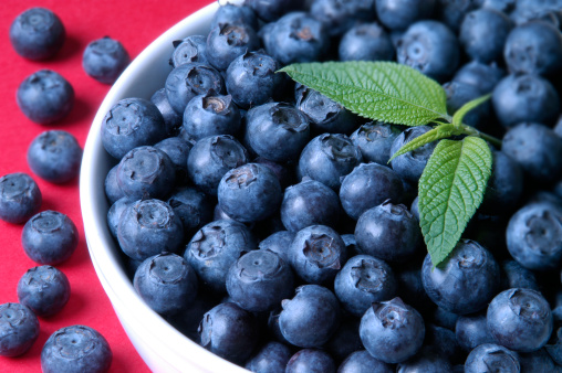 Close-up of a White Bowl full of Summer Blueberries