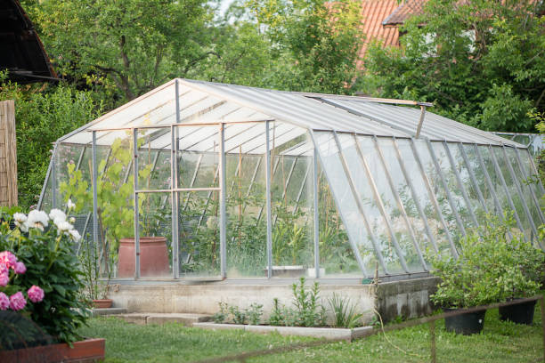 istock glass green house 1222258622