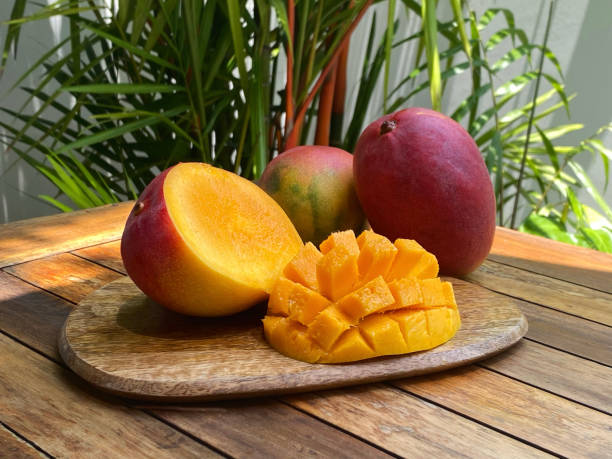 fruta de mango - cultura venezolana fotografías e imágenes de stock