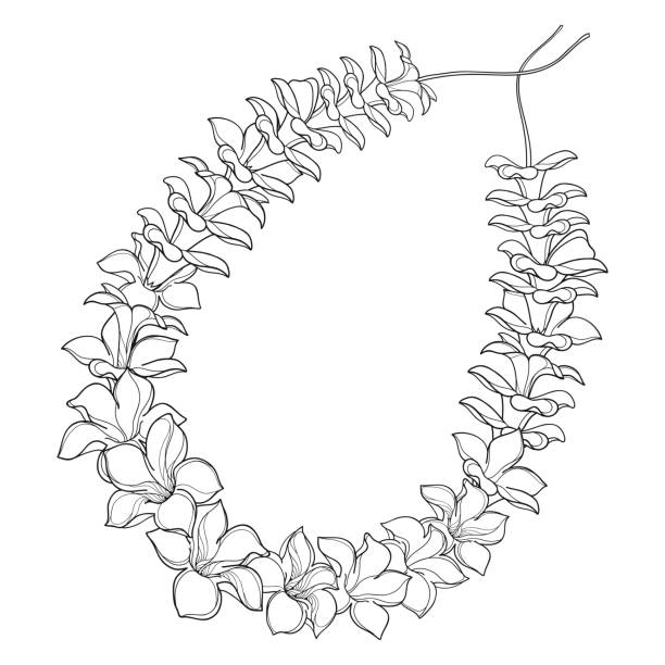 Vector Outline Hawaiian Lei Necklace From Tropical Allamanda Flower And  Petal In Black Isolated On White Background Stock Illustration - Download  Image Now - iStock
