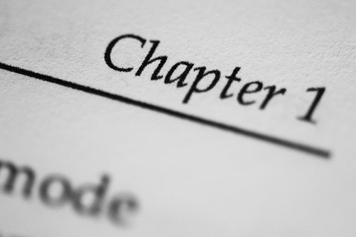 Chapter label in a paper book