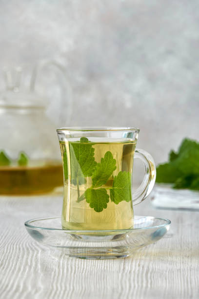 istock Fresh natural melissa, lemon balm  herbal tea in glass cup. 1222264670