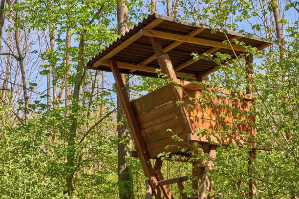istock High seat for forest hunting 1222265039