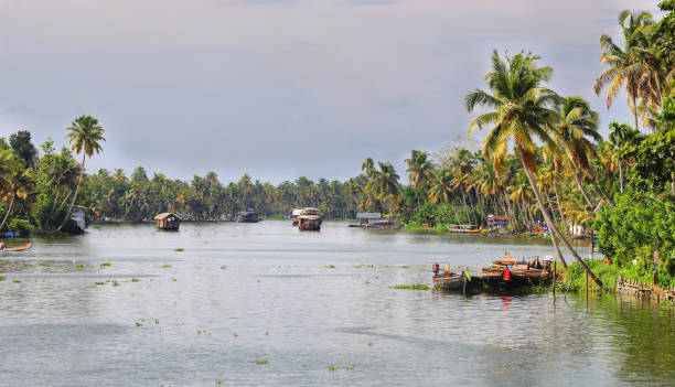 bootshäuser segeln in den backwaters in allepey, kerala, indien. - allepey stock-fotos und bilder