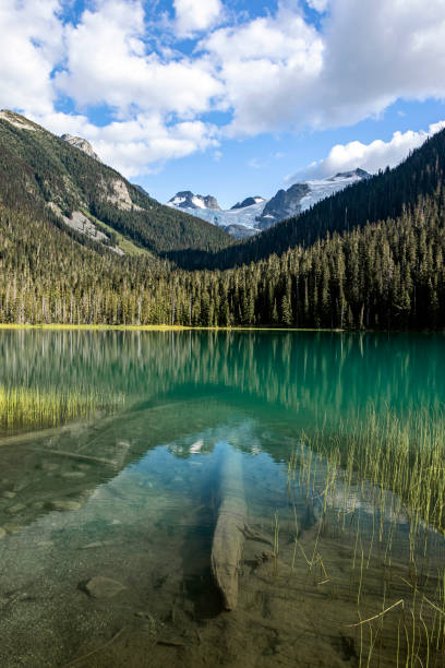 istock Joffre Lakes - British Columbia, Canada 1222266882
