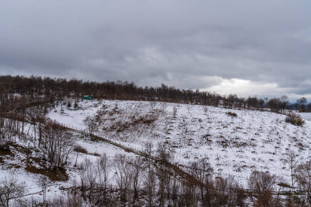 Winter landscape with trees and hills