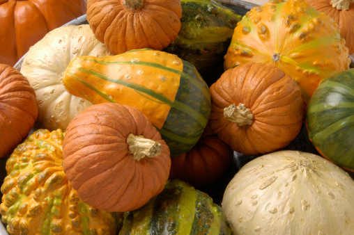 Colorful gourds and squash in a pile.