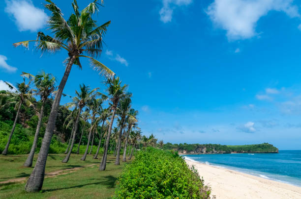 istock Balangan Beach Bali Indonesia 1222276080
