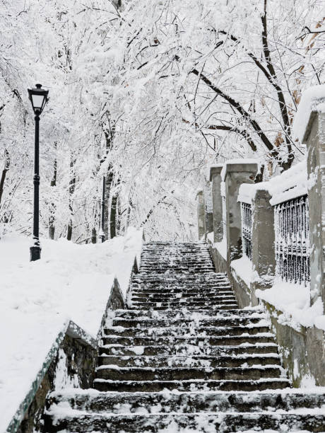 istock Winter city park 1222276510