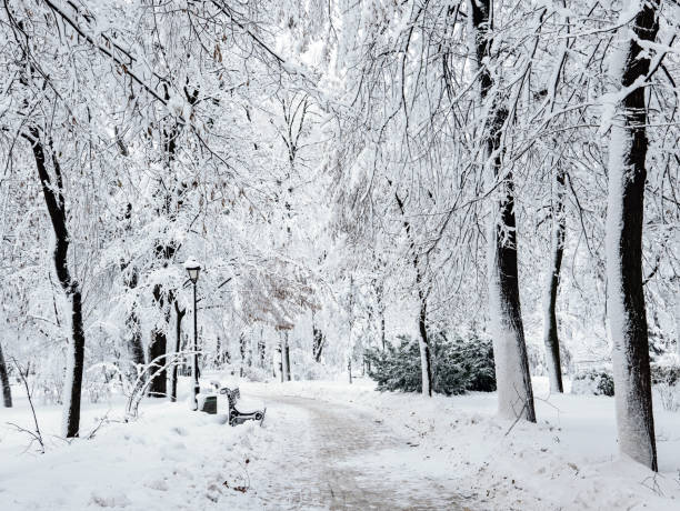 istock Winter city park 1222276520