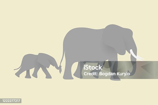 113 Elephant Matriarch Illustrations & Clip Art - iStock