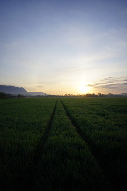 istock Sunrise and moody sky in Switzerland 1222284716