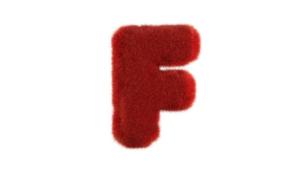 istock Letter F from fur alphabet 1222295485