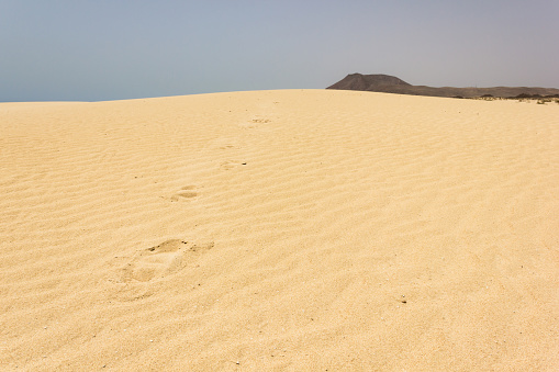 Footprints heading to top of sand dunes in Canary Islands, Spain. Arid landscape, travel destination, loneliness, lost, missing concepts