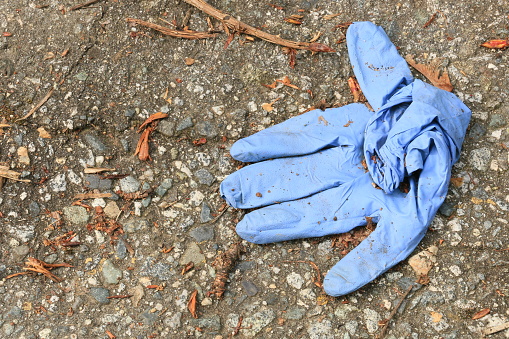 Shield bug on a child's blue glove lost in woodland