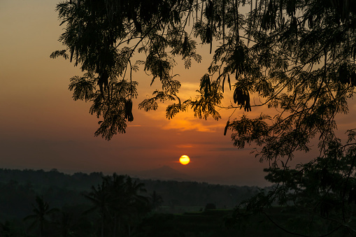 Beautiful colorful sunrise at Angkor Wat