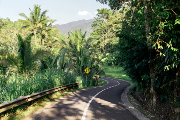 istock Road in a forest, Bali, Indonesia 1222302226