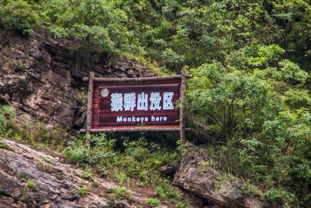 Warning sign for monkeys along Dawu gorge on Daning River, Wuchan, China.