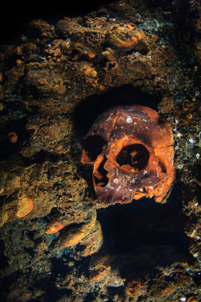 Human skull inside a World War II shipwreck stock photo