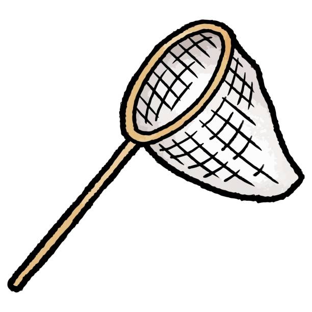Bug Net Png 1,700+ Bug Net On White Stock Illustrations, Royalty-Free Vector ...