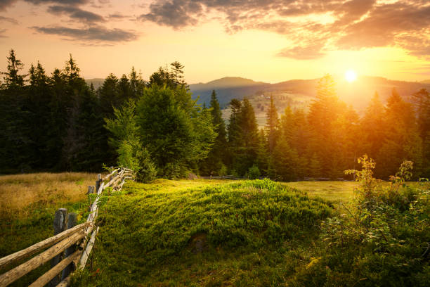 istock Picturesque countryside spring landscape 1222315686