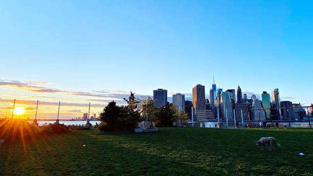 istock Sunset on Downtown Manhattan from a Brooklyn Park 1222320306
