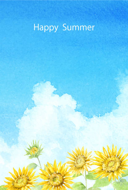 ilustrações de stock, clip art, desenhos animados e ícones de watercolor illustration of sunflower postcard. - cumulonimbus