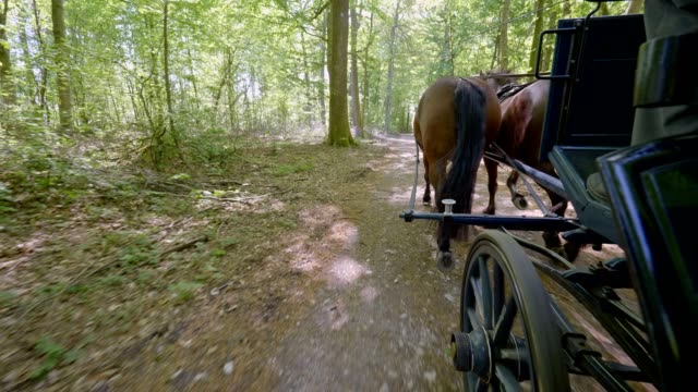 POV: on a horse-drawn carriage